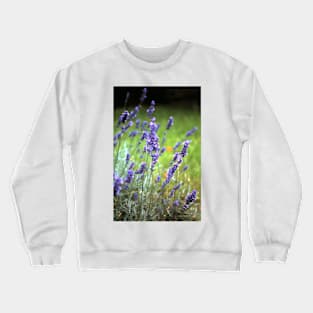 The lavender Crewneck Sweatshirt